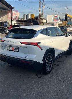 جیتۆر داشينگ